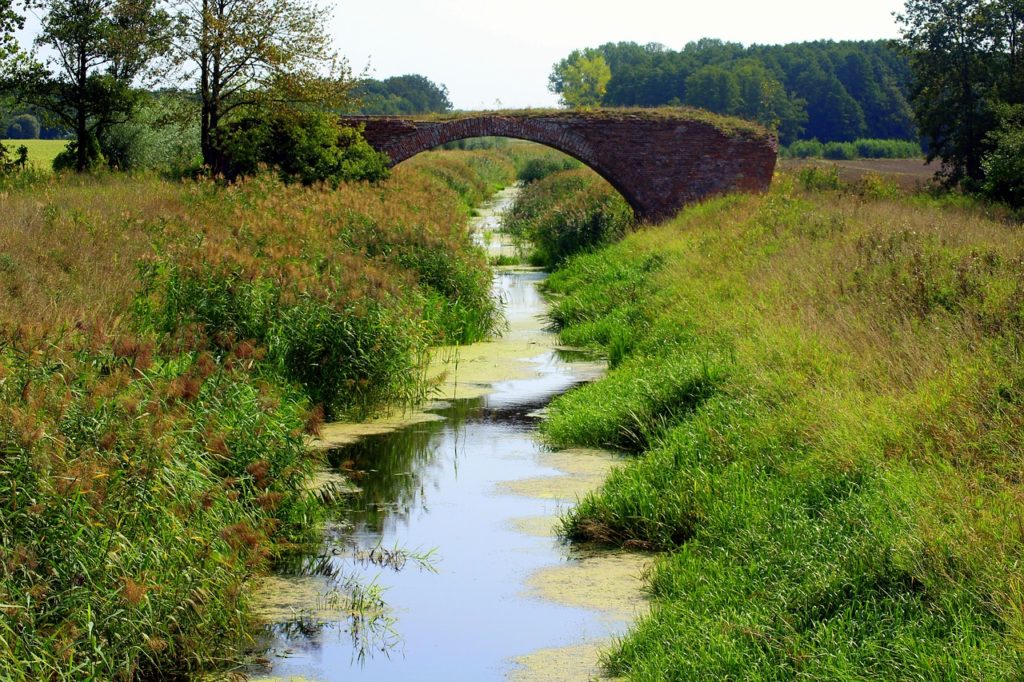 curage de cours d’eau